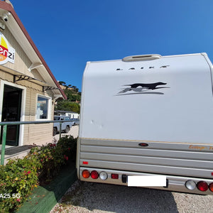 CAMPER LAIKA ECOVIP 700