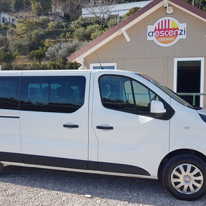 Renault Trafic 9 posti