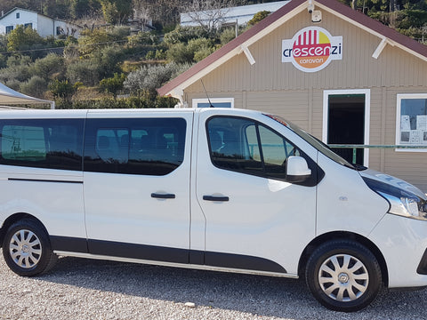 Renault Trafic 9 posti